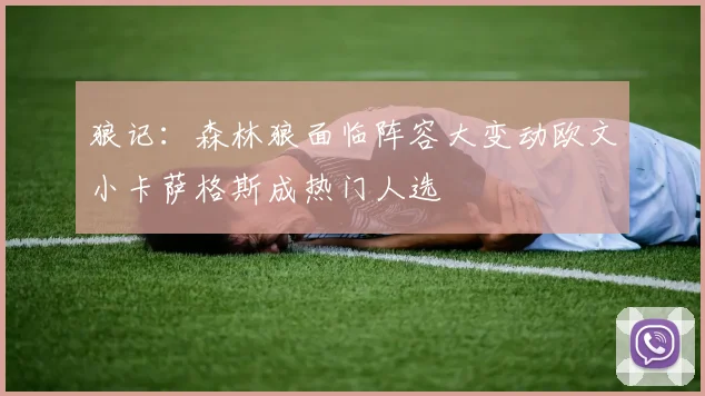狼记：森林狼面临阵容大变动欧文小卡萨格斯成热门人选