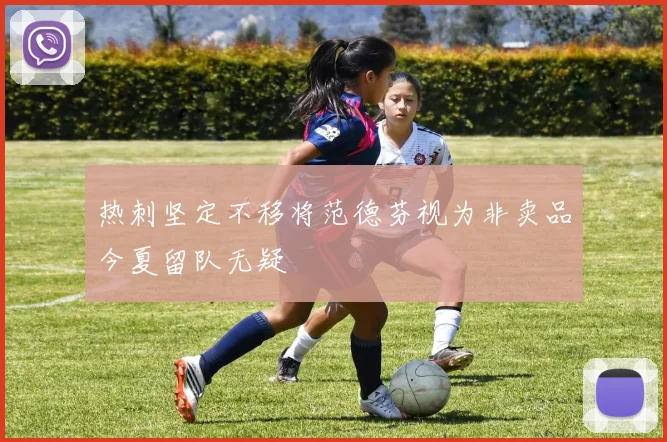 热刺坚定不移将范德芬视为非卖品今夏留队无疑