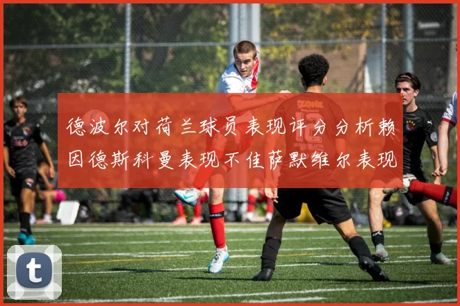 德波尔对荷兰球员表现评分分析赖因德斯科曼表现不佳萨默维尔表现出色
